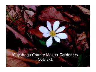 Cuyahoga County Master Gardeners OSU Ext.