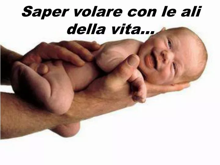 saper volare con le ali della vita