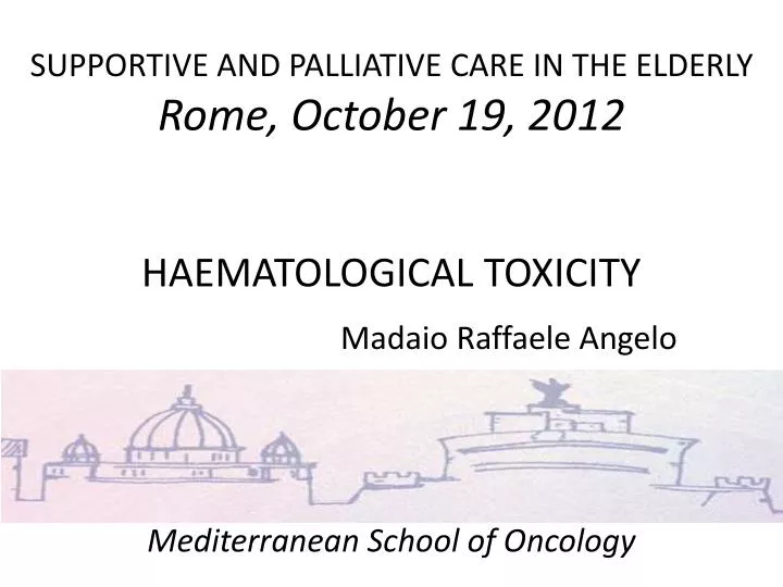 supportive and palliative care in the elderly rome october 19 2012