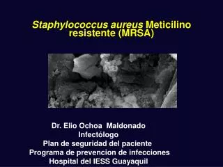 Staphylococcus aureus Meticilino resistente (MRSA)