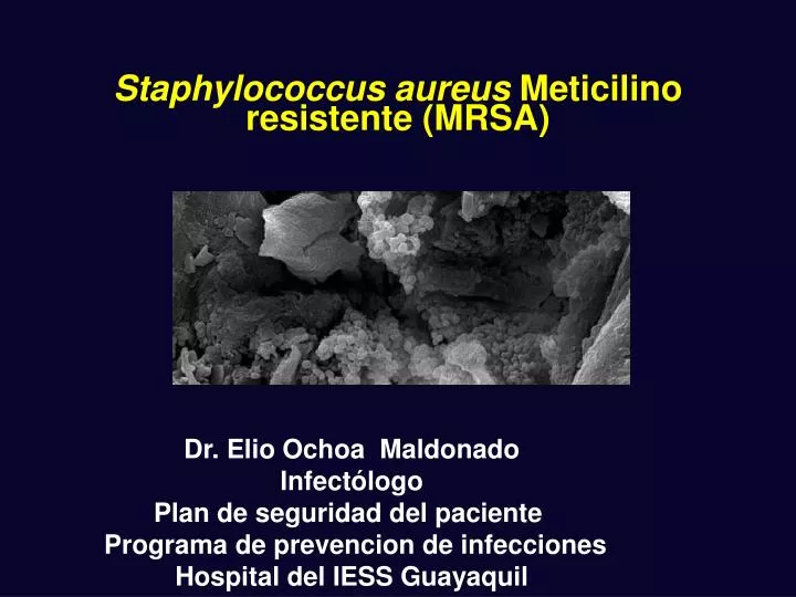 staphylococcus aureus meticilino resistente mrsa