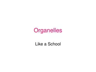 Organelles