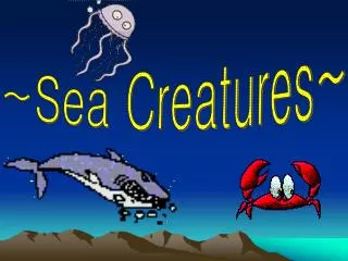 ~Sea Creatures~