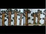 77df0c45 6f95 463d a440 7239905e9cc3 - slide 1