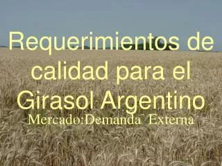 Requerimientos de calidad para el Girasol Argentino