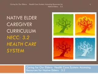Native elder caregiver curriculum NECC: 3.2 Health care system