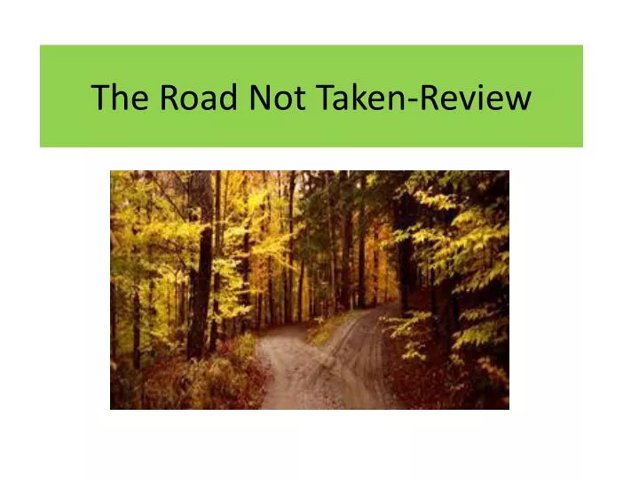 the road not taken review