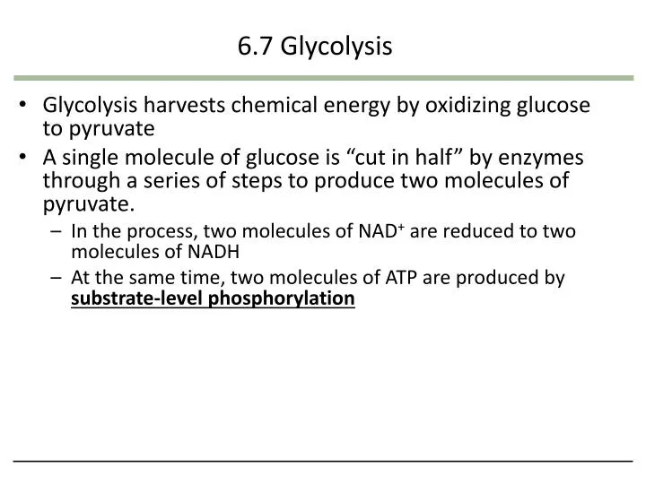 6 7 glycolysis