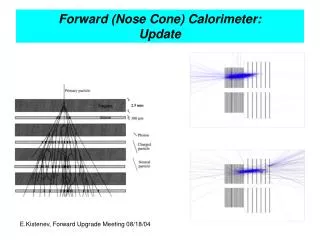 Forward (Nose Cone) Calorimeter: Update
