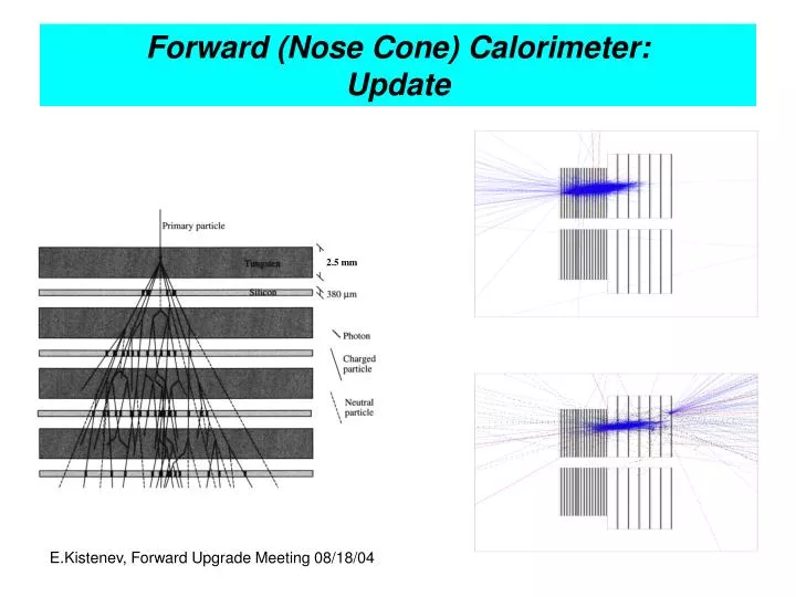 forward nose cone calorimeter update