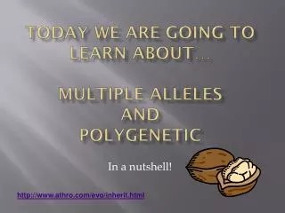 Today we are going to learn about… Multiple Alleles and Polygenetic