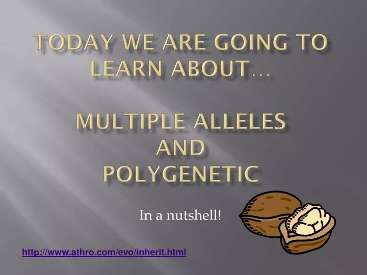 today we are going to learn about multiple alleles and polygenetic