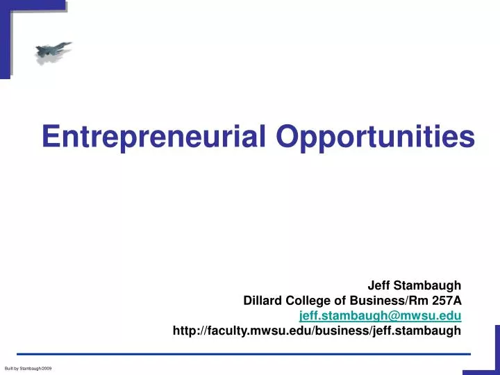 entrepreneurial opportunities