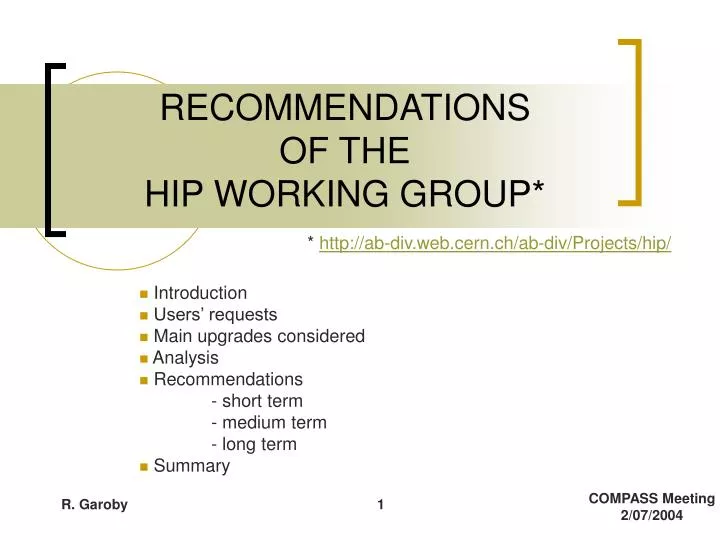 recommendations of the hip working group