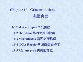 Chapter 10 Gene mutations 基因突变 10.1 Mutant types 突变类型 10.2 Detection 基因突变的检出