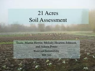 21 Acres Soil Assessment