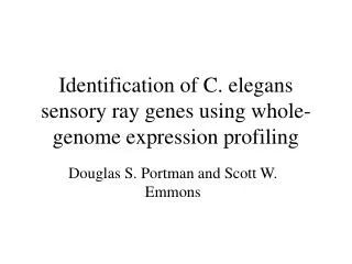 Identification of C. elegans sensory ray genes using whole-genome expression profiling