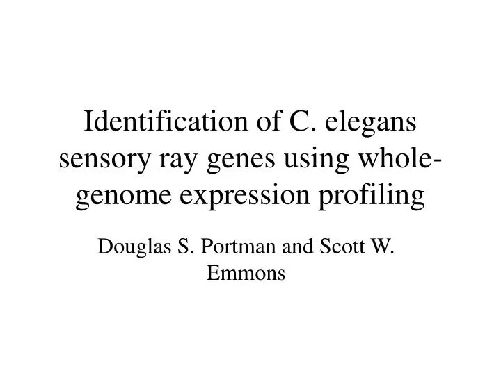 identification of c elegans sensory ray genes using whole genome expression profiling