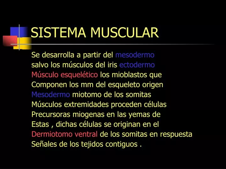 sistema muscular