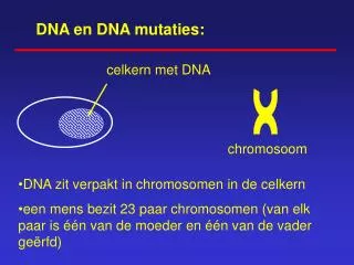 DNA en DNA mutaties: