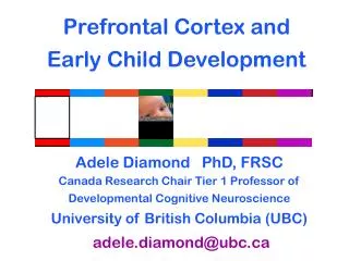 Prefrontal Cortex and Early Child Development