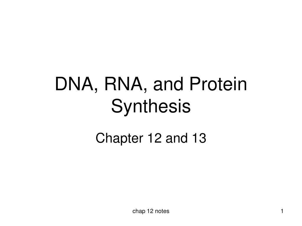 PPT - Understanding DNA, RNA, and Protein Synthesis: Key Experiments ...