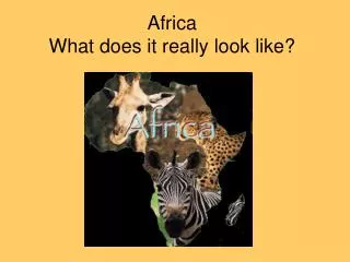 Africa What does it really look like?