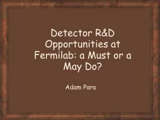 Detector R&amp;D Opportunities at Fermilab: a Must or a May Do?
