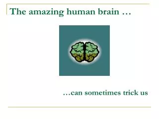 The amazing human brain …
