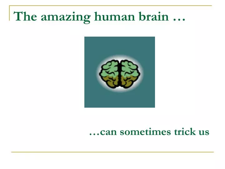the amazing human brain