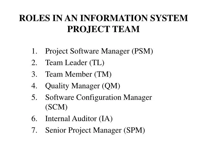 roles in an information system project team