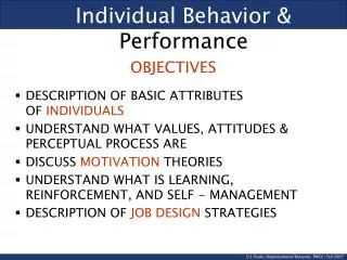 Individual Behavior &amp; Performance