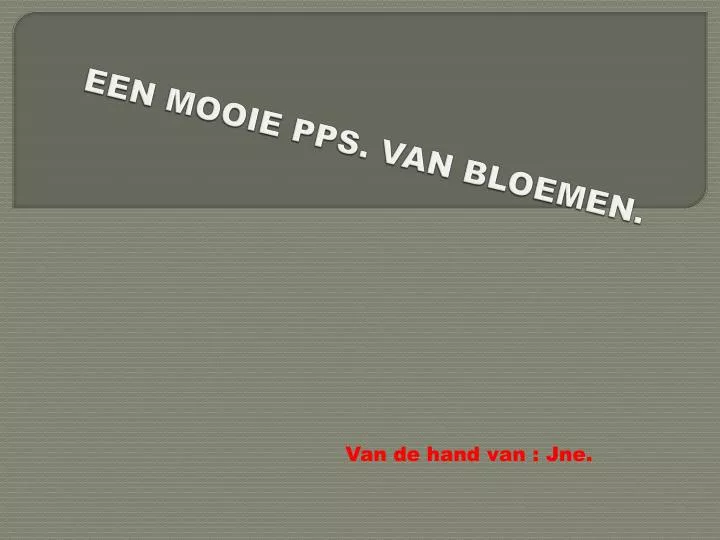 een mooie pps van bloemen