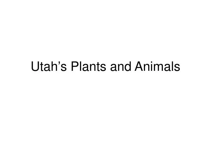 utah s plants and animals