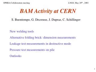 BAM Activity at CERN