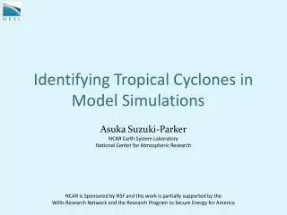 Identifying Tropical Cyclones in Model Simulations