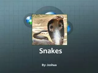 Snakes