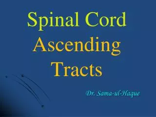 Spinal Cord Ascending Tracts