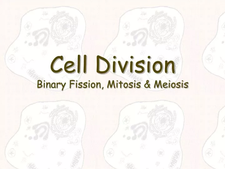 cell division binary fission mitosis meiosis