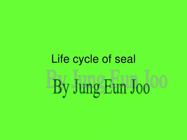 life cycle of seal