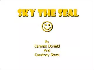 SKY THE SEAL ?
