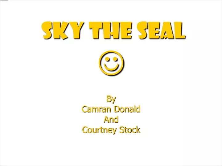 sky the seal