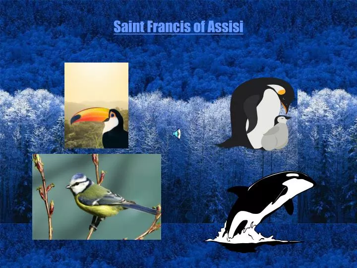 saint francis of assisi
