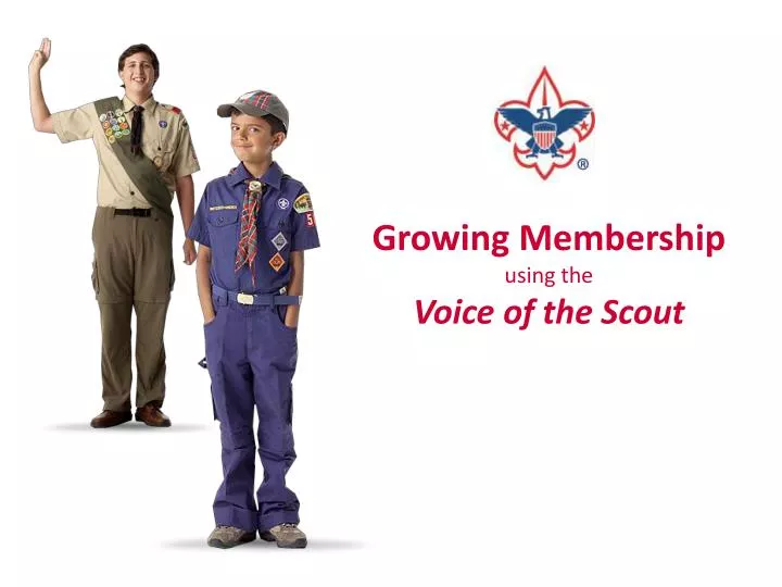 growing membership using the voice of the scout