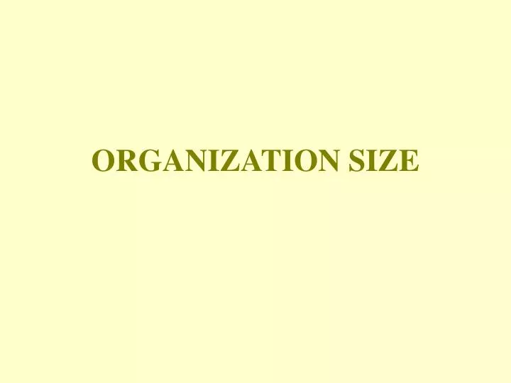 organization size
