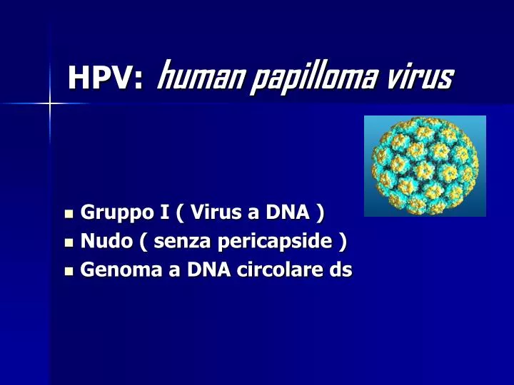 hpv human papilloma virus