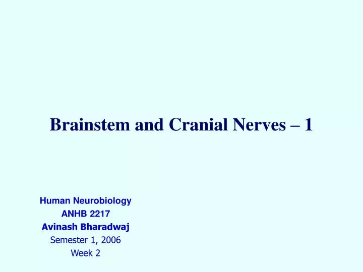 brainstem and cranial nerves 1