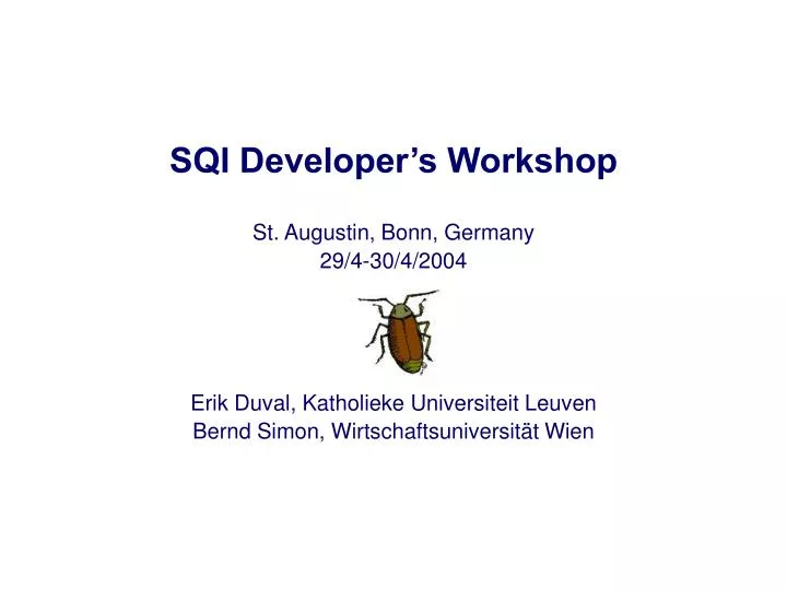sqi developer s workshop