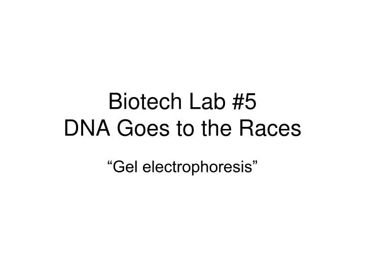 biotech lab 5 dna goes to the races