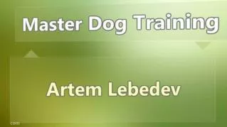 ppt 7888 Master Dog Training